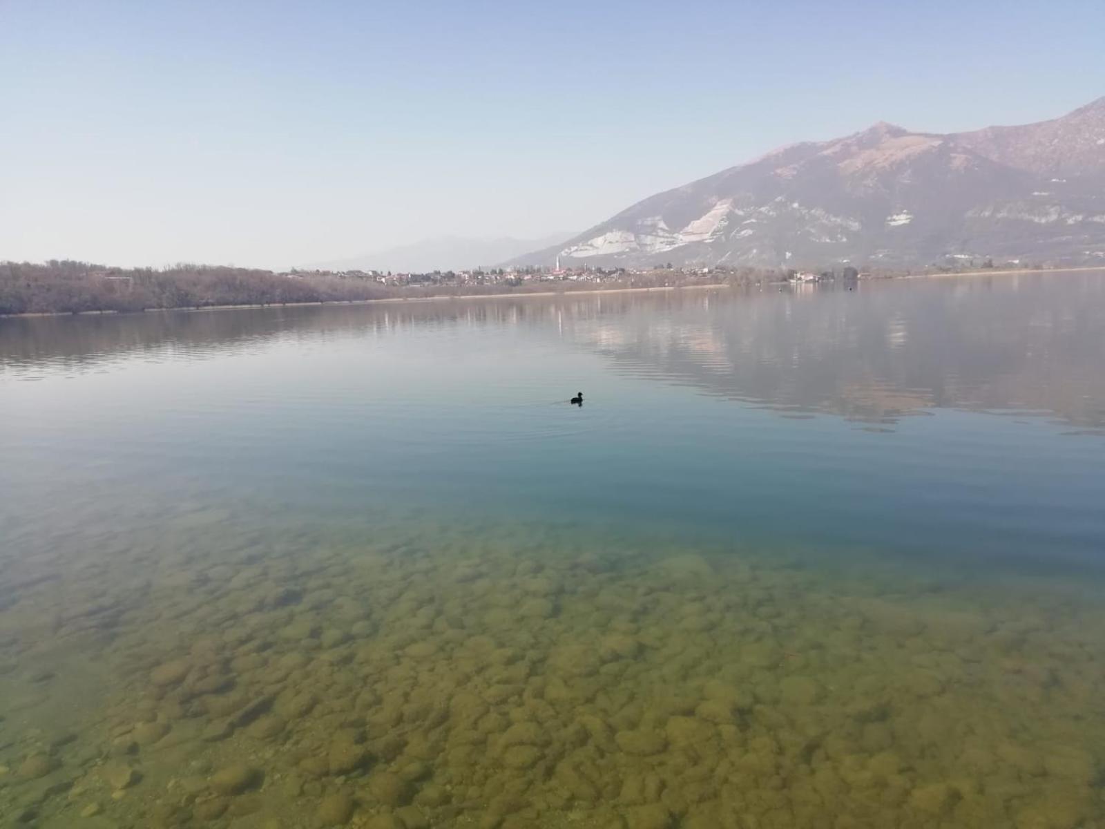La Poesia Del Lago Oggiono Kültér fotó